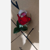 جا انگشتری گل رز درب دار