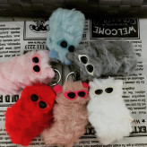 جاسوئیچی پولیشی cat